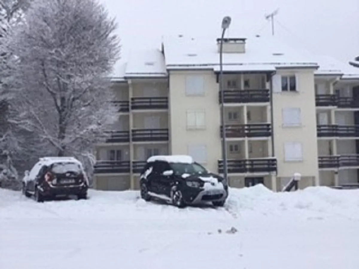 Lo Vedelier D'Aubrac Lägenhet Laguiole 0*,