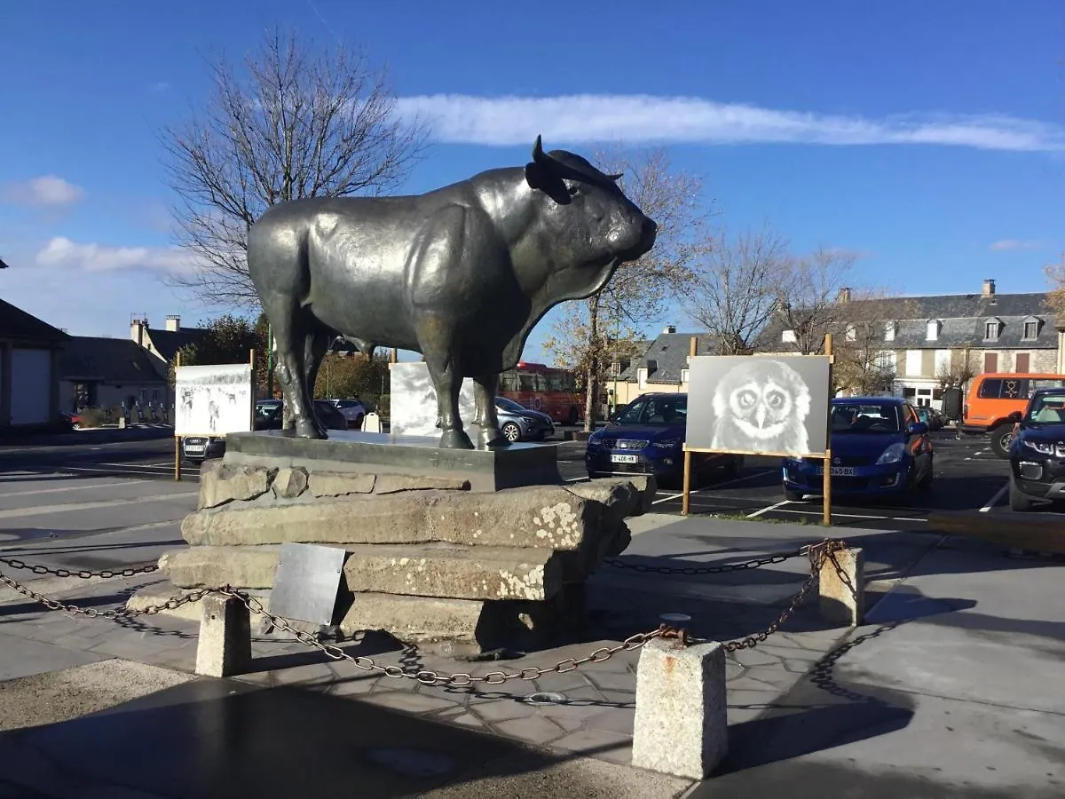 Lo Vedelier D'Aubrac Lägenhet Laguiole 0*,