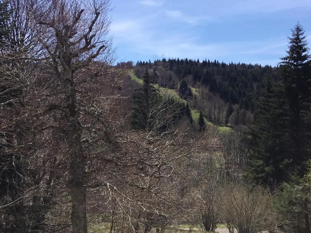 Lo Vedelier D'Aubrac Lägenhet Laguiole